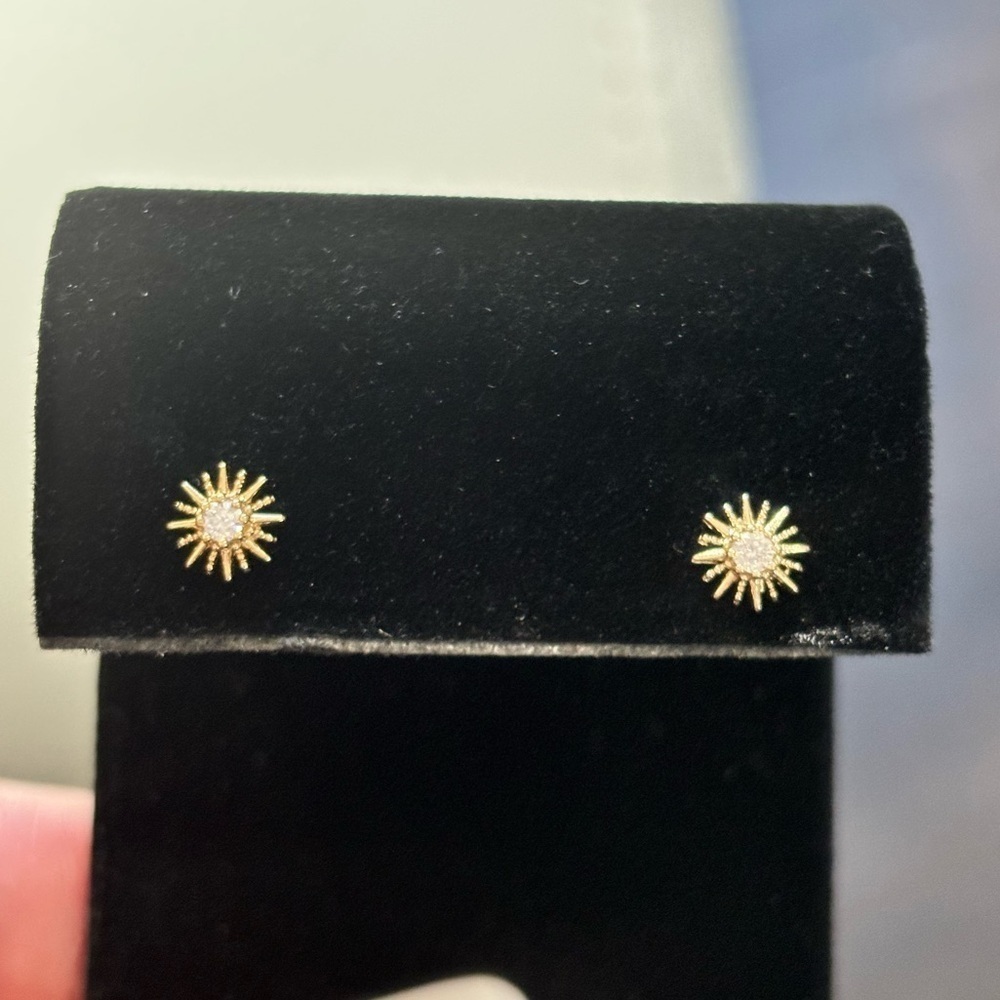 Banana Republic new on card stud earrings